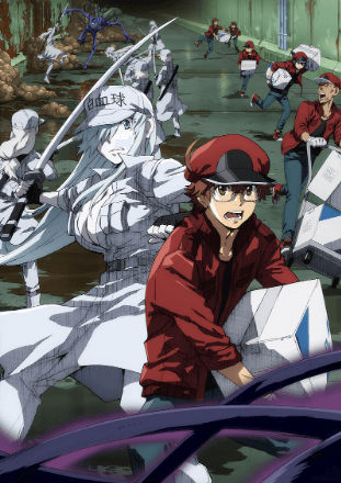 Hataraku Saibou Black (TV) الحلقة 1