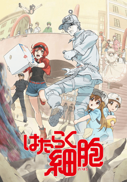 Hataraku Saibou الحلقة 8