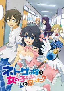 انمي Netoge no Yome wa Onnanoko ja Nai to Omotta? الحلقة 12 مترجمة اون لاين