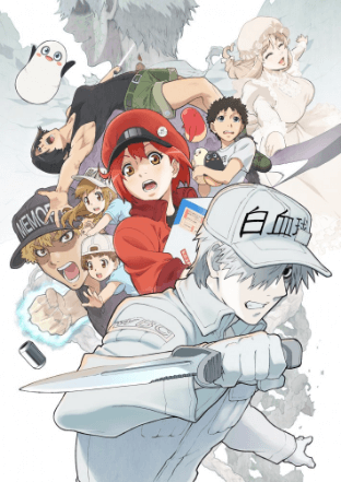 انمي Hataraku Saibou!! الحلقة 12 مترجمة اون لاين