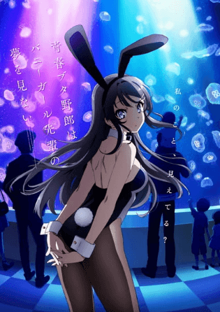 انمي Seishun Buta Yarou wa Bunny Girl Senpai no Yume wo Minai الحلقة 13 مترجمة اون لاين